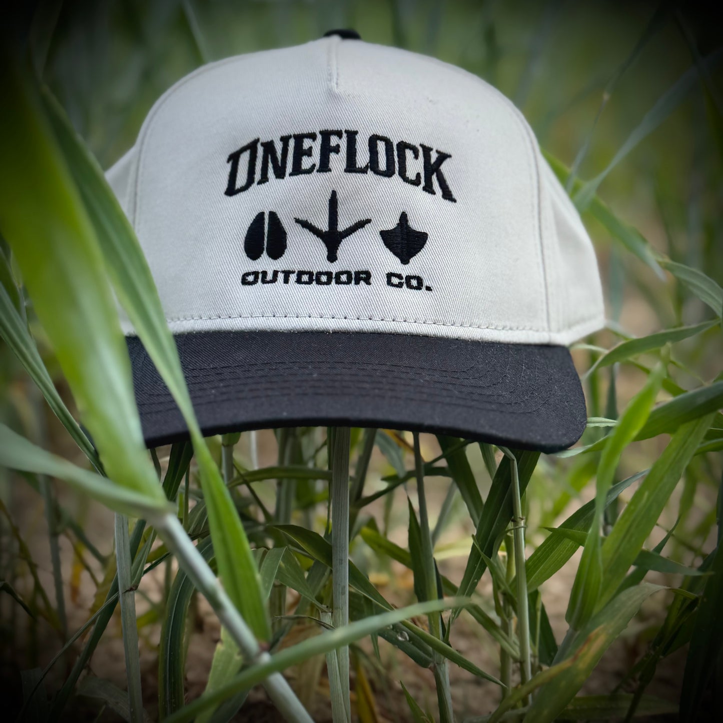 SIGNATURE TWO TONED BASEBALL CAP - IVORY CROWN/BLACK BRIM
