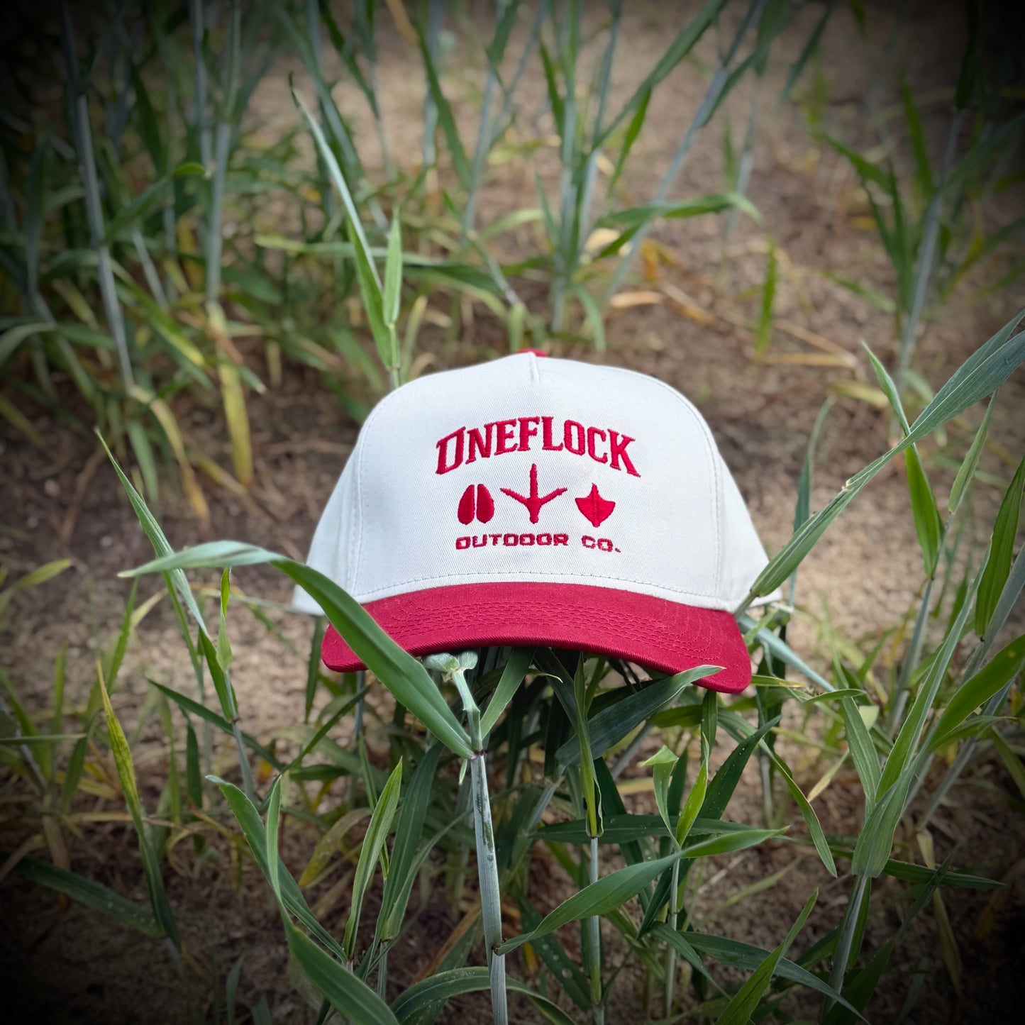 SIGNATURE TWO TONED BASEBALL CAP - IVORY CROWN/RED BRIM