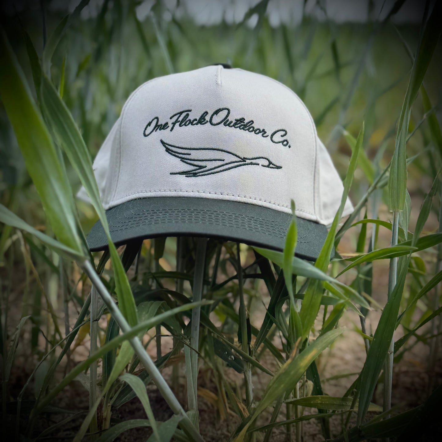 "FLY" TWO TONED BASEBALL CAP - IVORY CROWN/GREEN BRIM